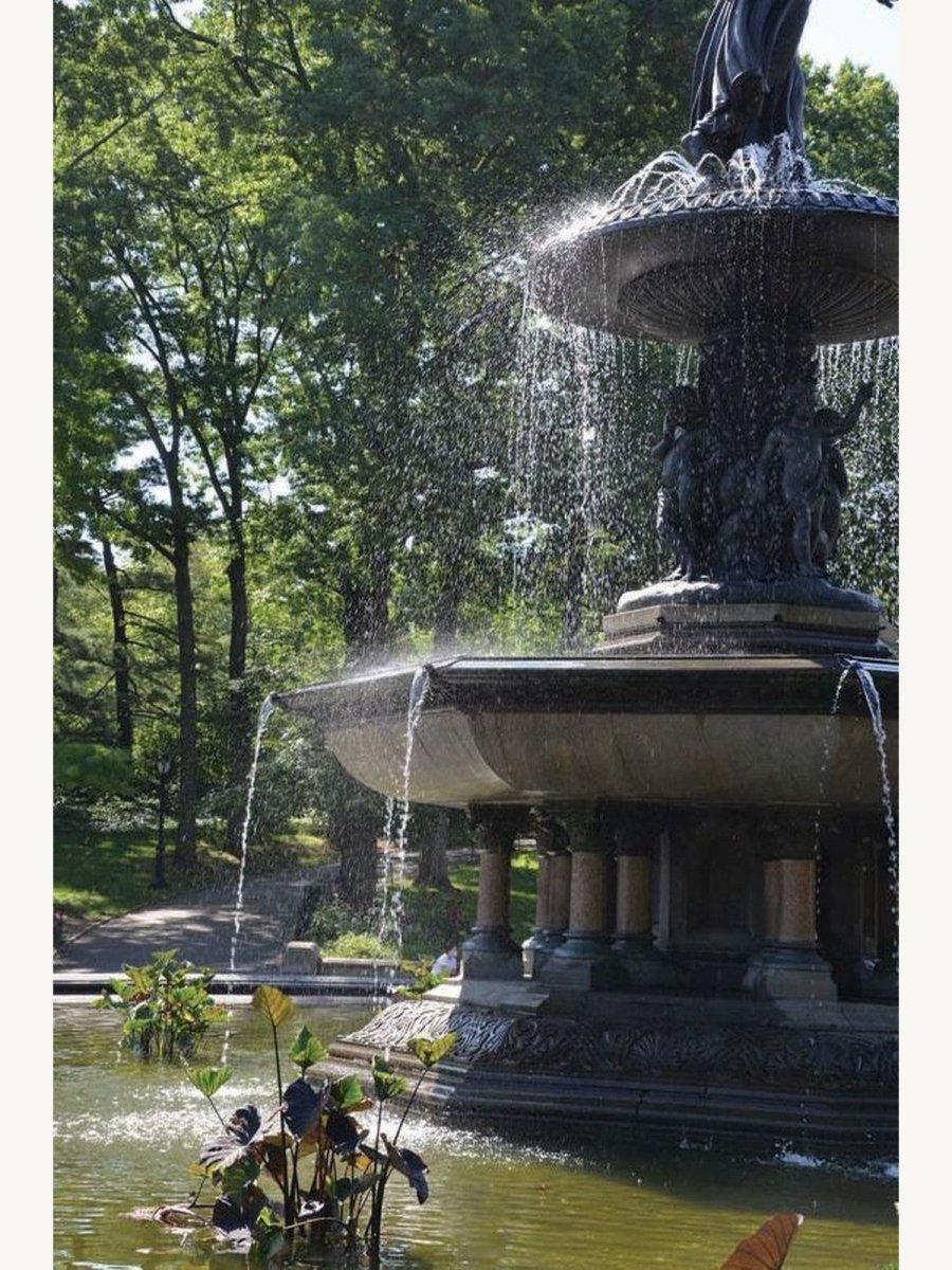 Fountain Safari by James Garland (Paperback) | Arts Book - Boutique Galleria