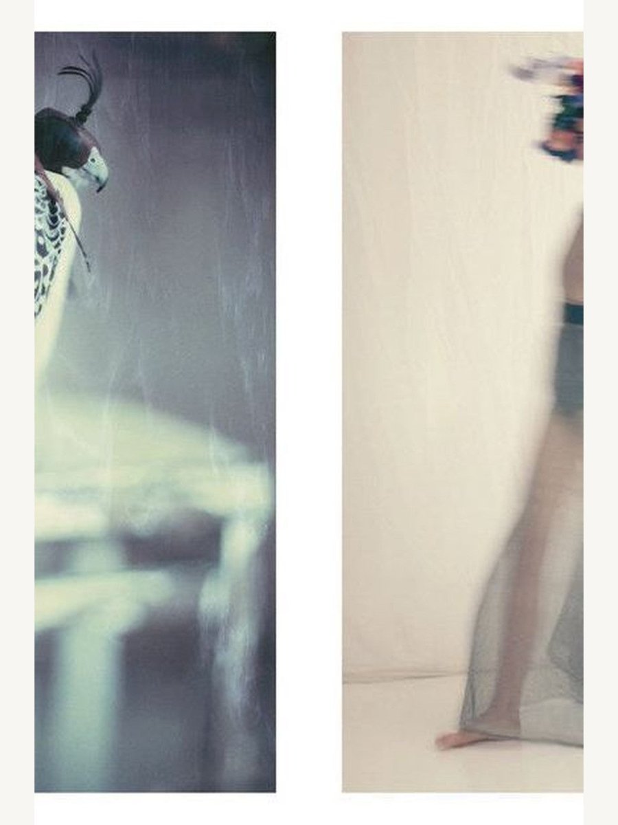 Paolo Roversi by Sylvie Lécallier and Paolo Roversi (Book) | Fashion - Beauty Book - Boutique Galleria
