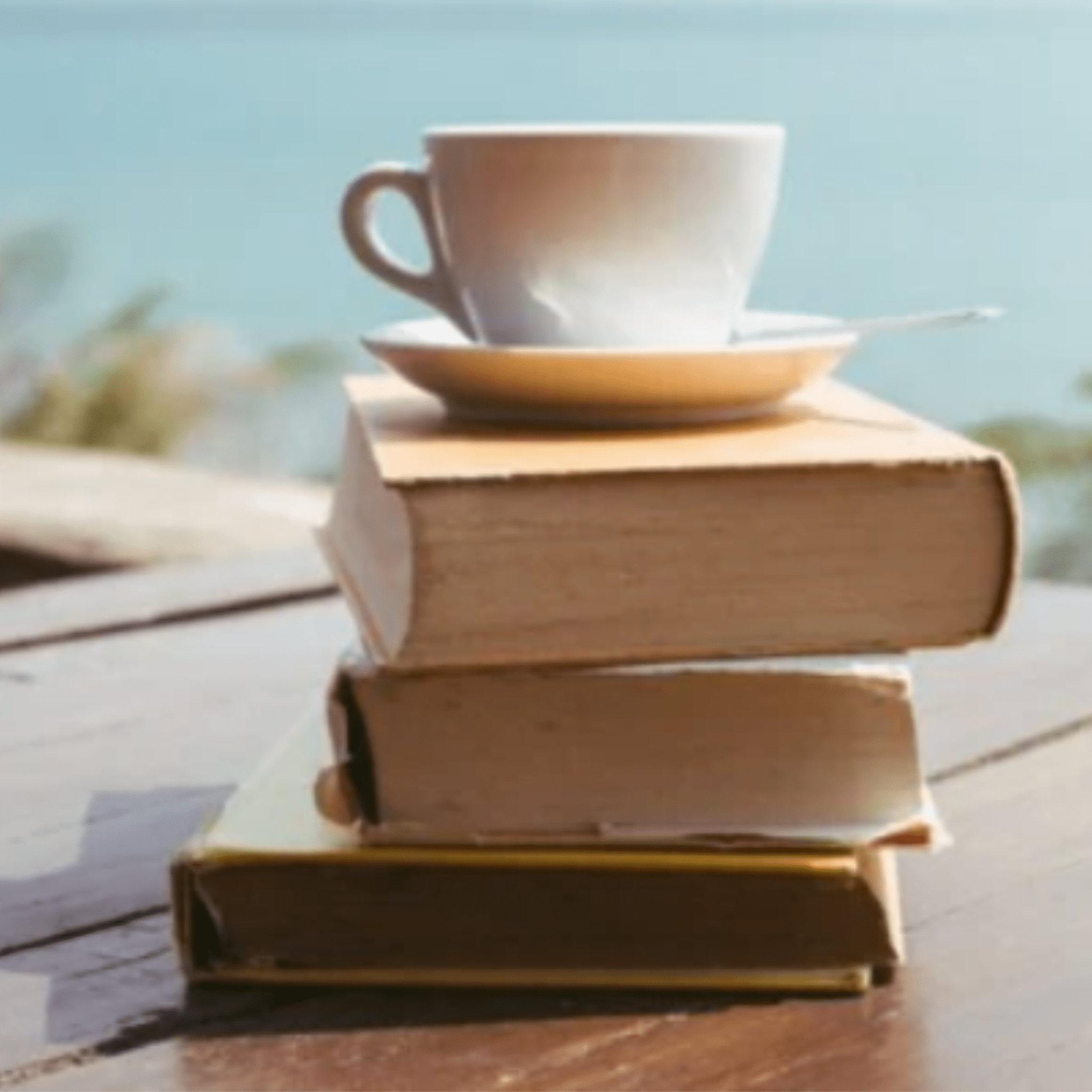 Books - Lifestyle - Boutique Galleria