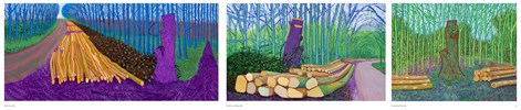 David Hockney : The book that accompanies the David Hockney 25 exhibition at the Fondation Louis Vuitton, Paris by Norman Rosenthal