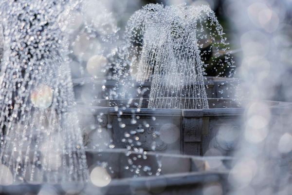 Fountain Safari by James Garland