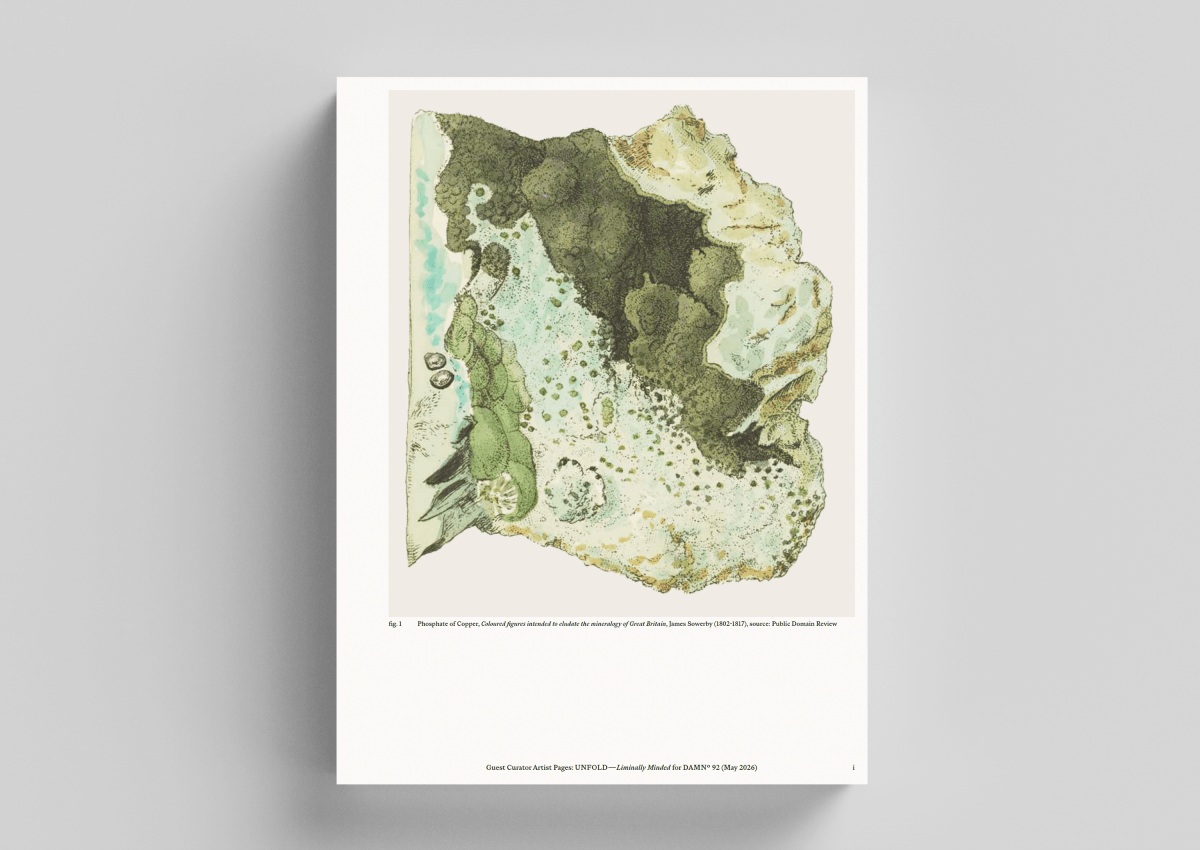 DAMN° — Issue 92 / Roots of Meaning - Boutique Galleria