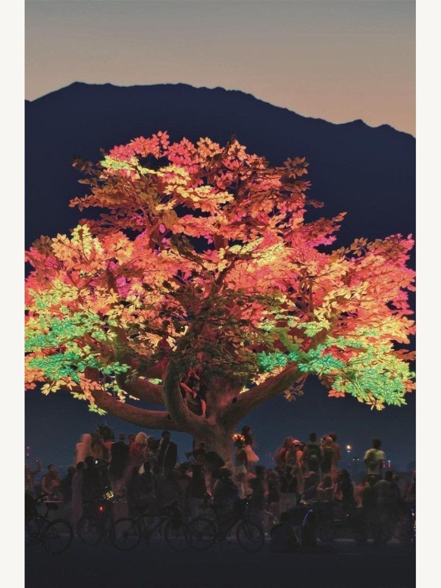DRIFT: Choreographing the Future (Book) | Culture Book - Boutique Galleria
