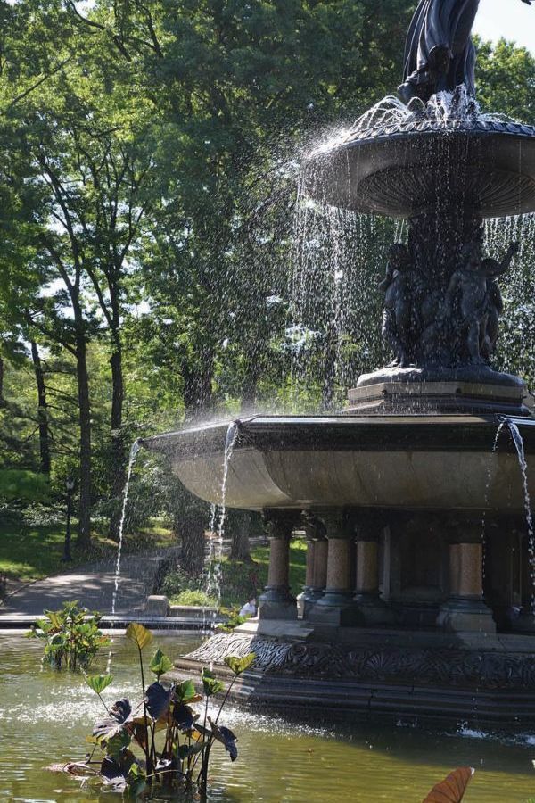 Fountain Safari by James Garland - Boutique Galleria