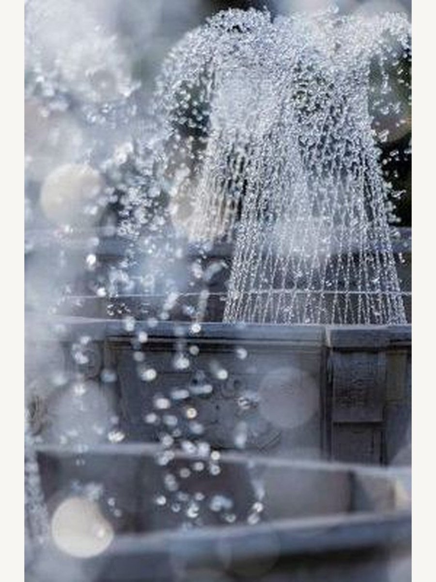 Fountain Safari by James Garland (Paperback) | Arts Book - Boutique Galleria