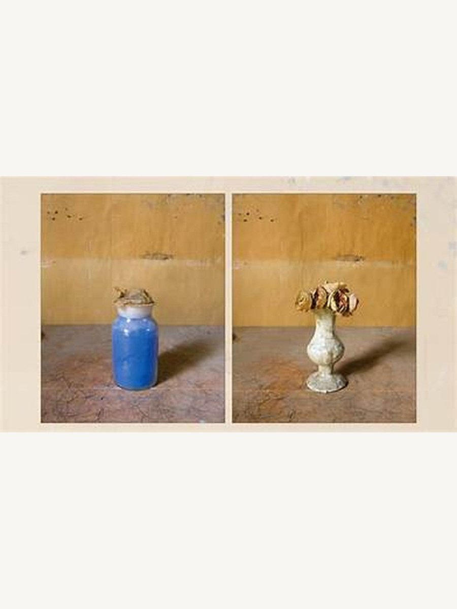 Joel Meyerowitz – Morandi’s Objects. The Complete Archive of Casa Morandi - Boutique Galleria