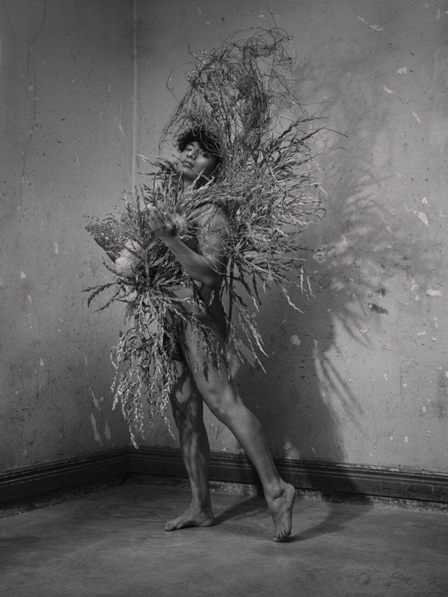 Pieter Henket: Birds of Mexico City - Boutique Galleria