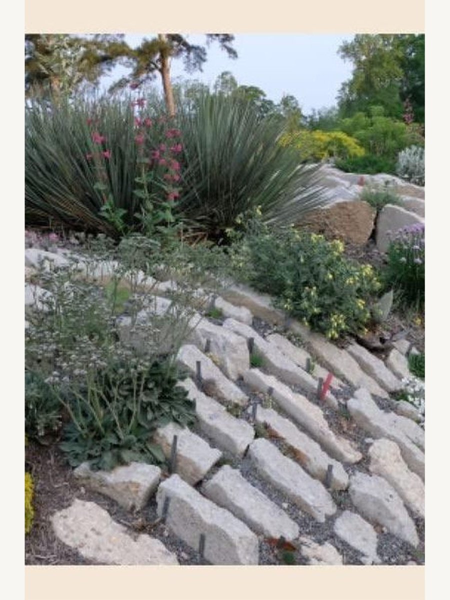 The Crevice Garden (Book) | Books - Cuisine Book - Boutique Galleria