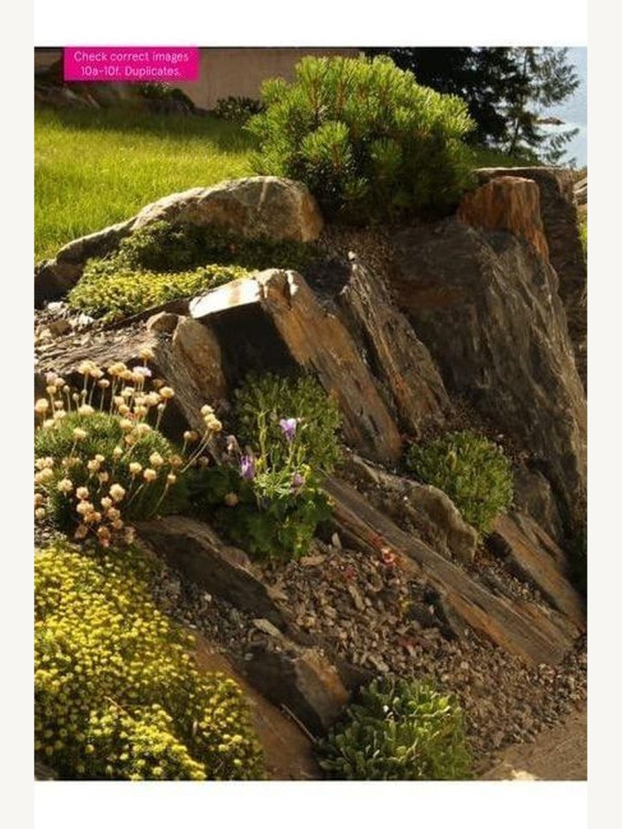 The Crevice Garden (Book) | Books - Cuisine Book - Boutique Galleria