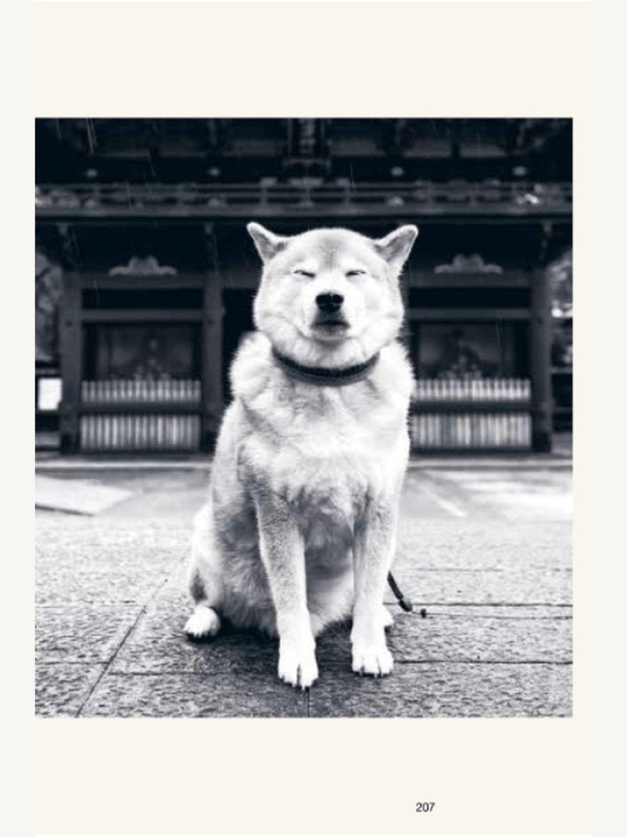 The Monocle Book of Japan (Book) | Travel Book - Boutique Galleria