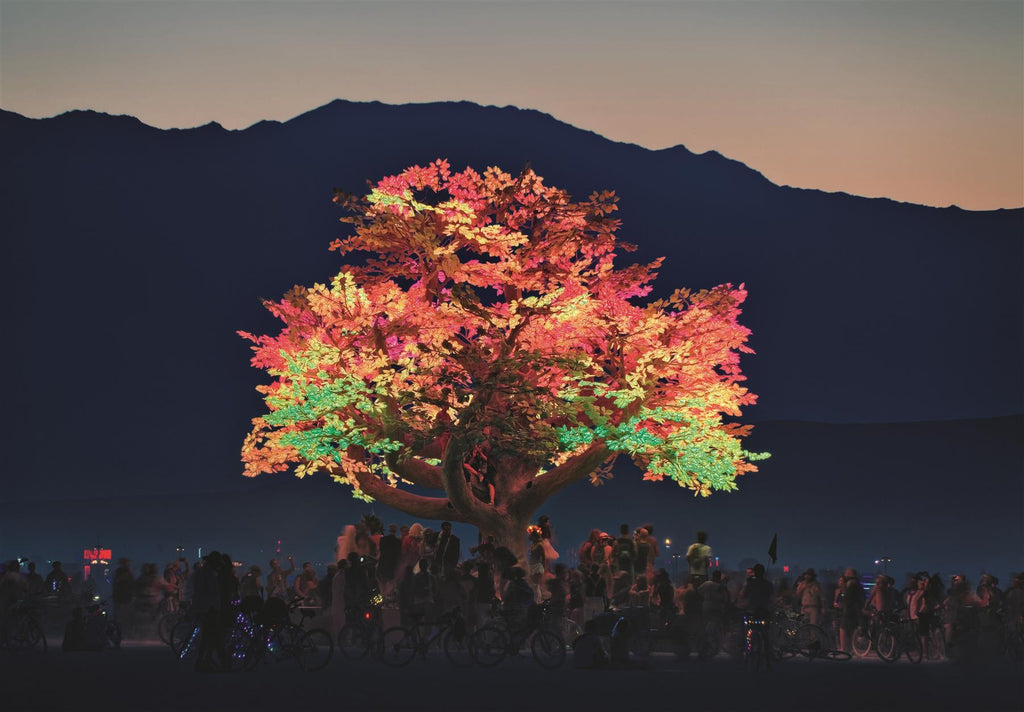 DRIFT: Choreographing the Future