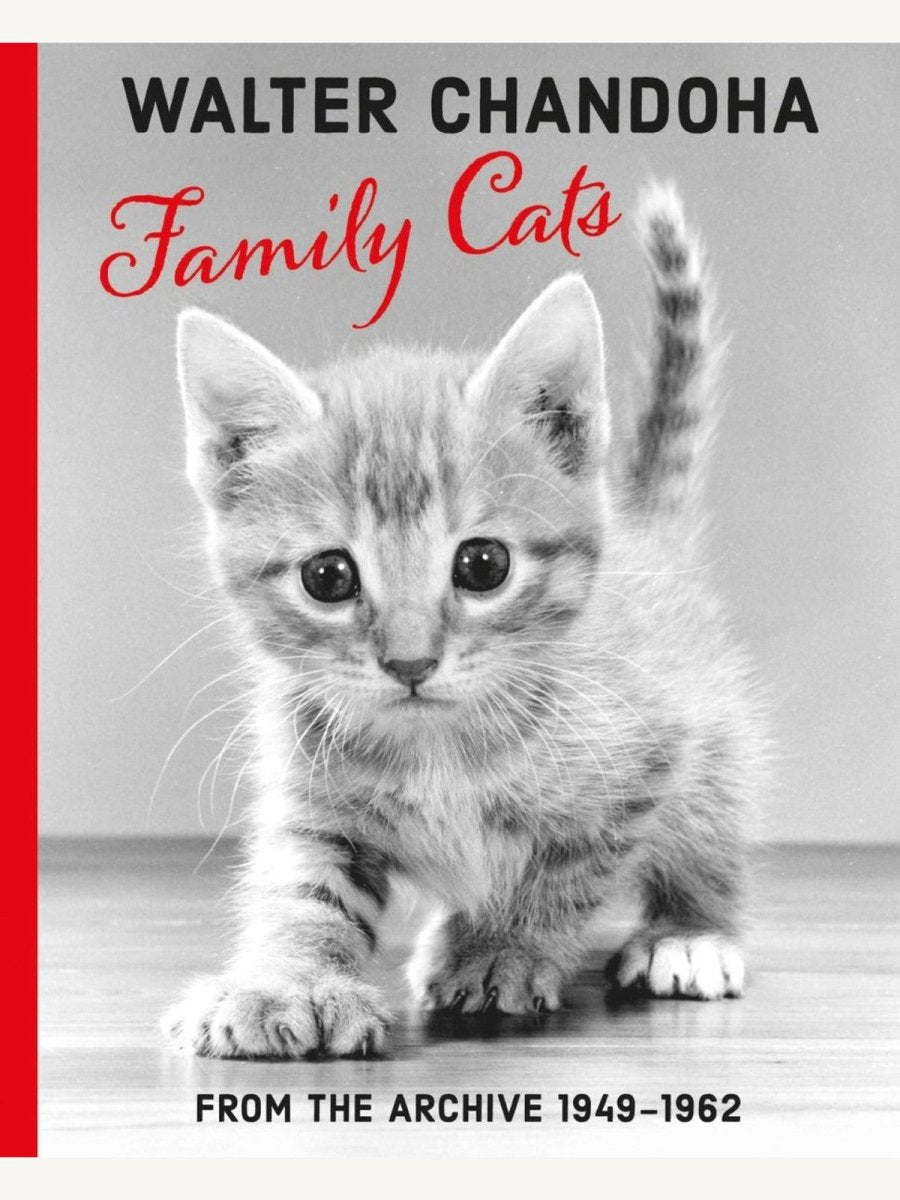 Walter Chandoha – Family Cats. From the Archive - Boutique Galleria