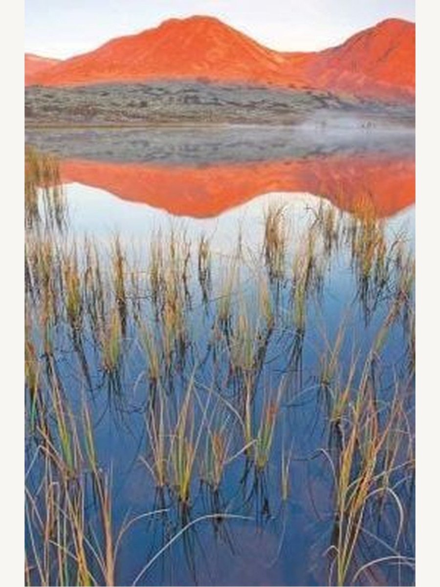 Wild Places of Europe Astounding views of the continentâ€™s most beautiful nature sites (Book) | Travel Book - Boutique Galleria